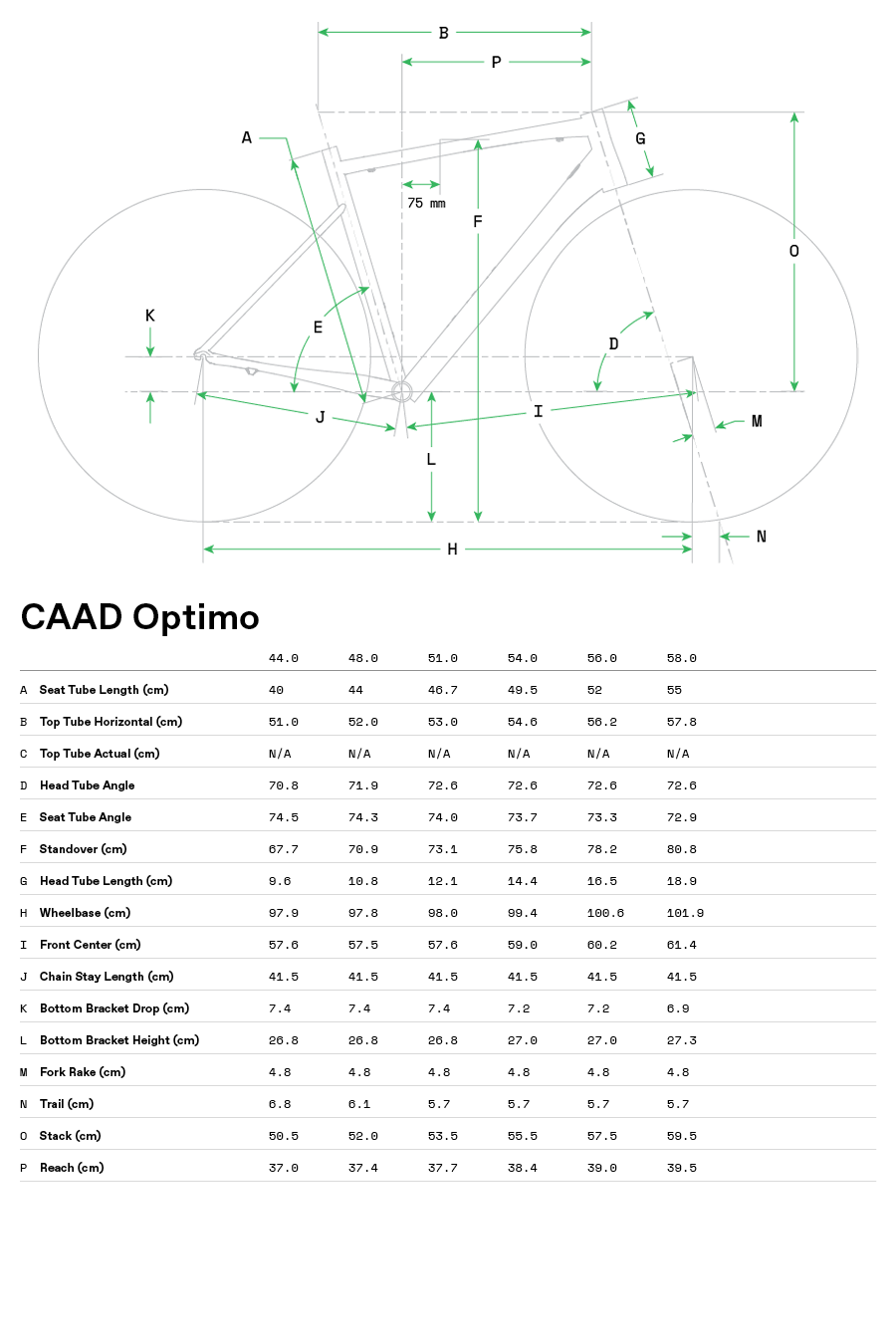 2254-caad-optimo-1_g